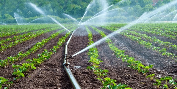Solar-powered irrigation